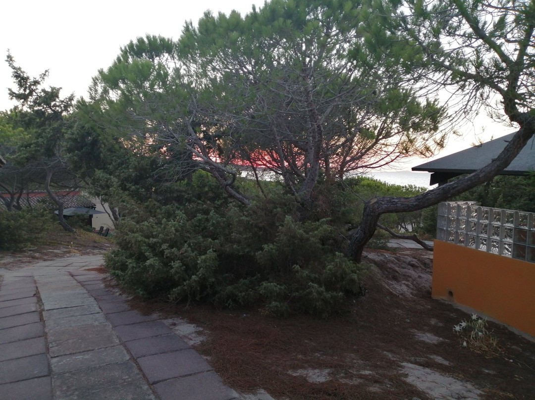 高尔夫阿心那拉营地旅馆主图