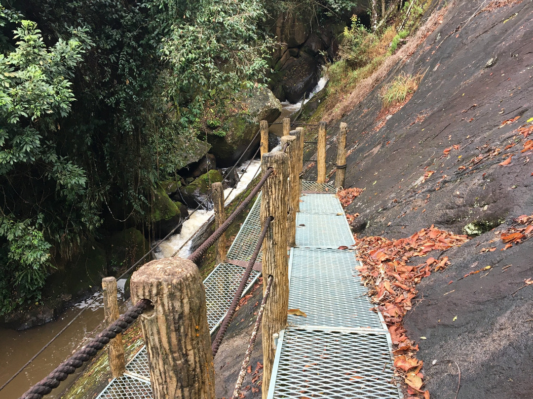 Ecopia Resort-Paraisopolis必去景点