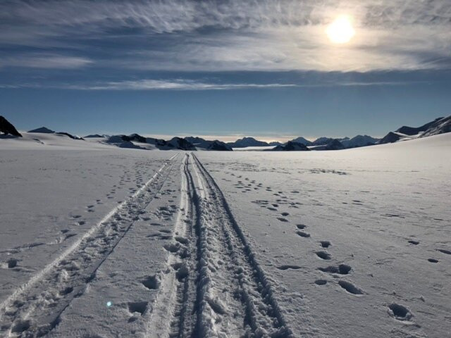 Icefield Discovery-海恩斯章克申必去景点