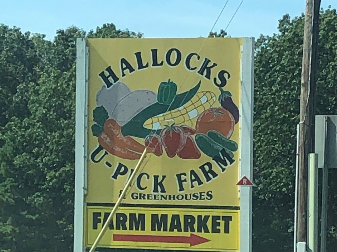 Hallock's U-Pick Farm-New Egypt必去景点