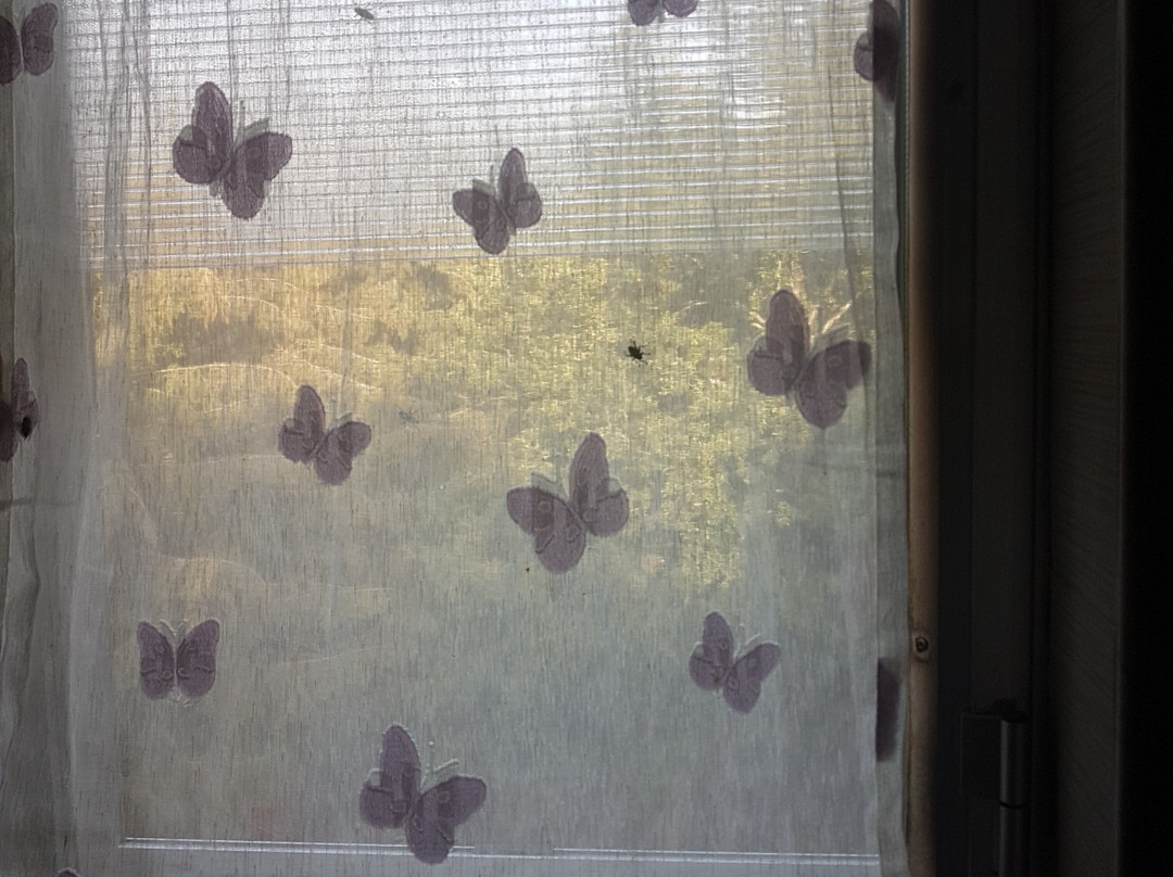 Albergo Del Sole主图