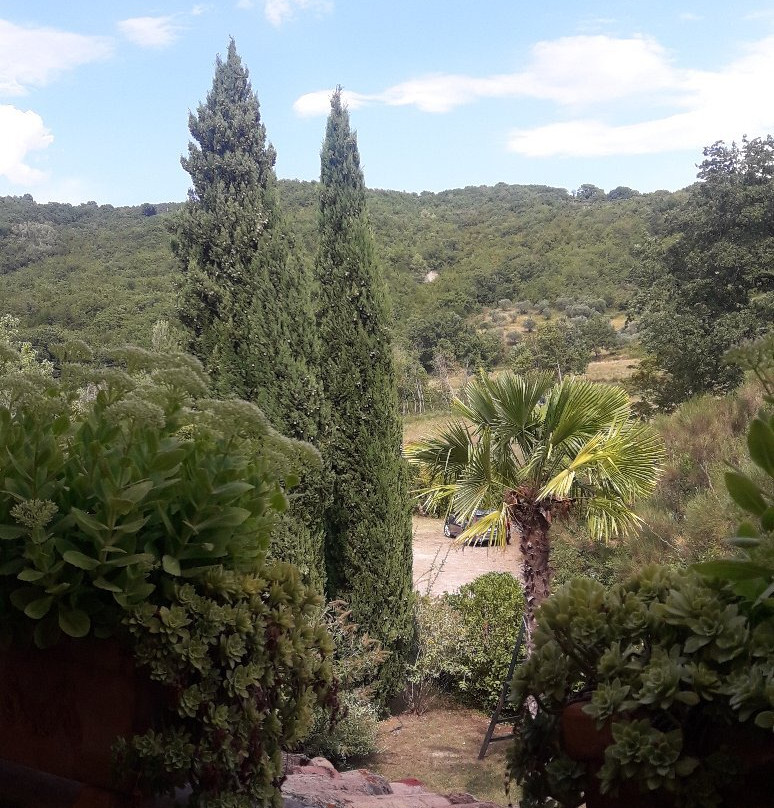 Le Vignole Country House主图