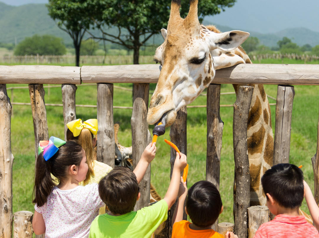 Bioparque Estrella景点图片