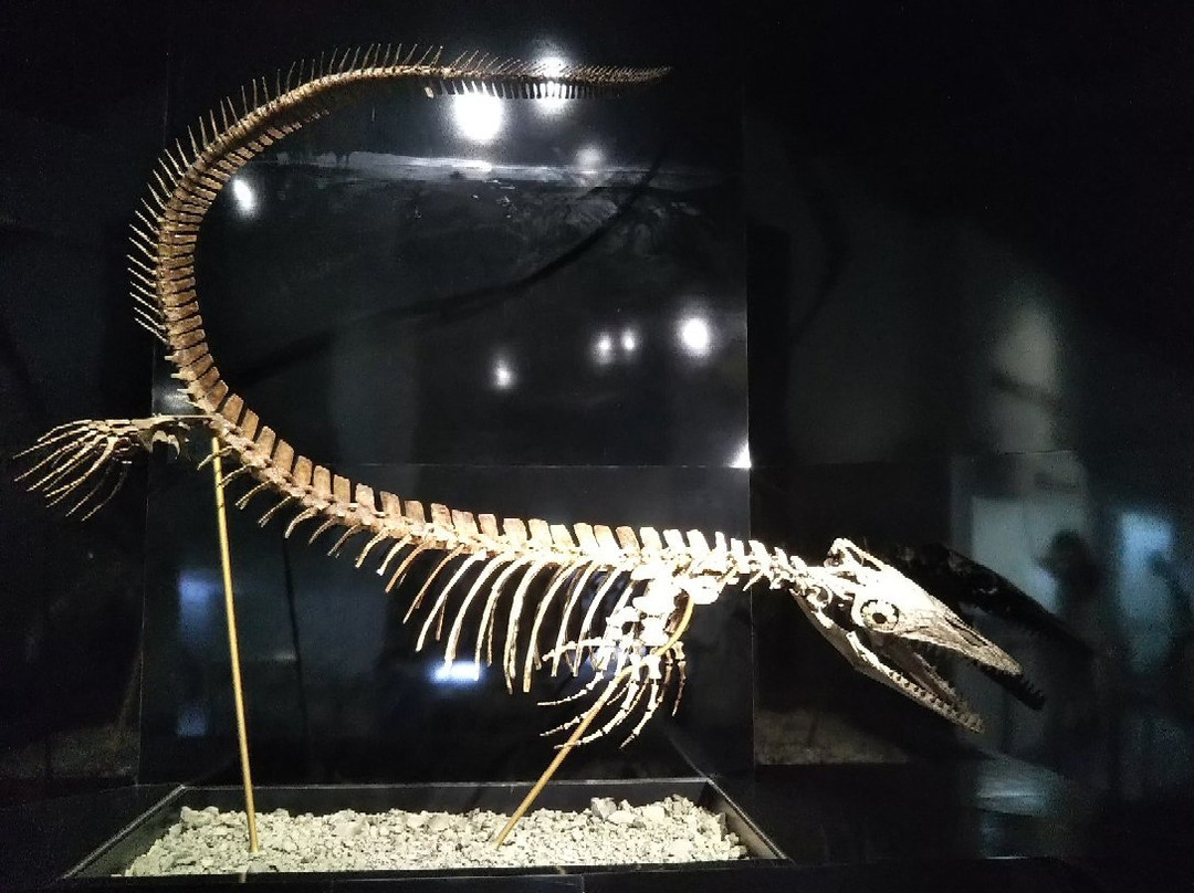 Mikasa City Museum-三笠市必去景点