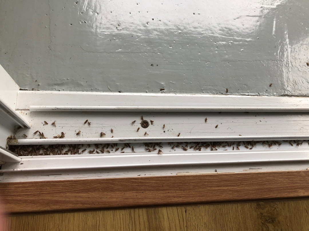 Grand Kokkod Khaokho主图