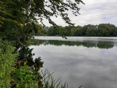 Rensinger See-Kellinghusen必去景点