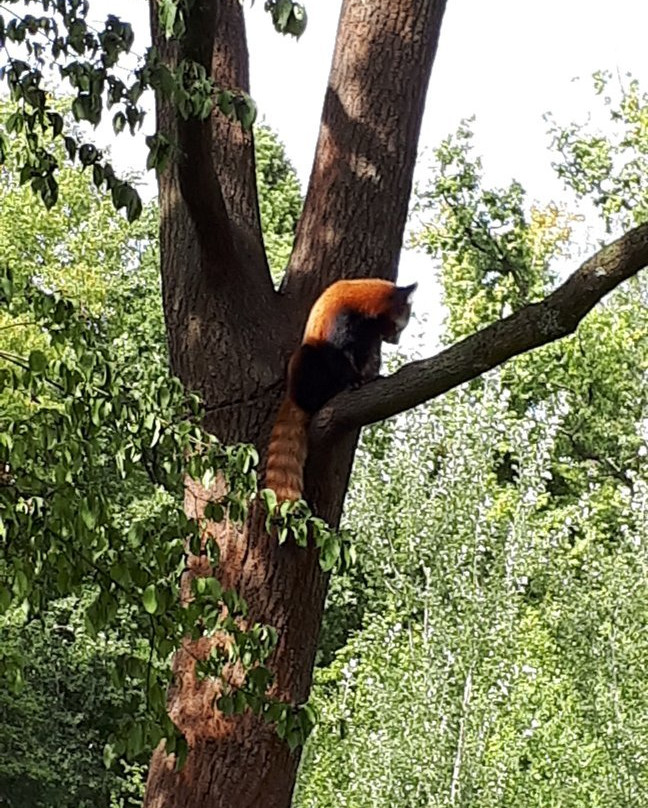 Tierpark Aachen景点图片