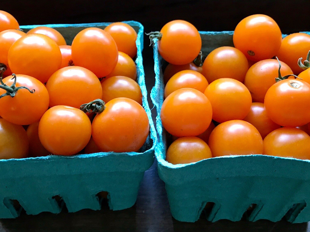 Ferjulians Farm Stand景点图片