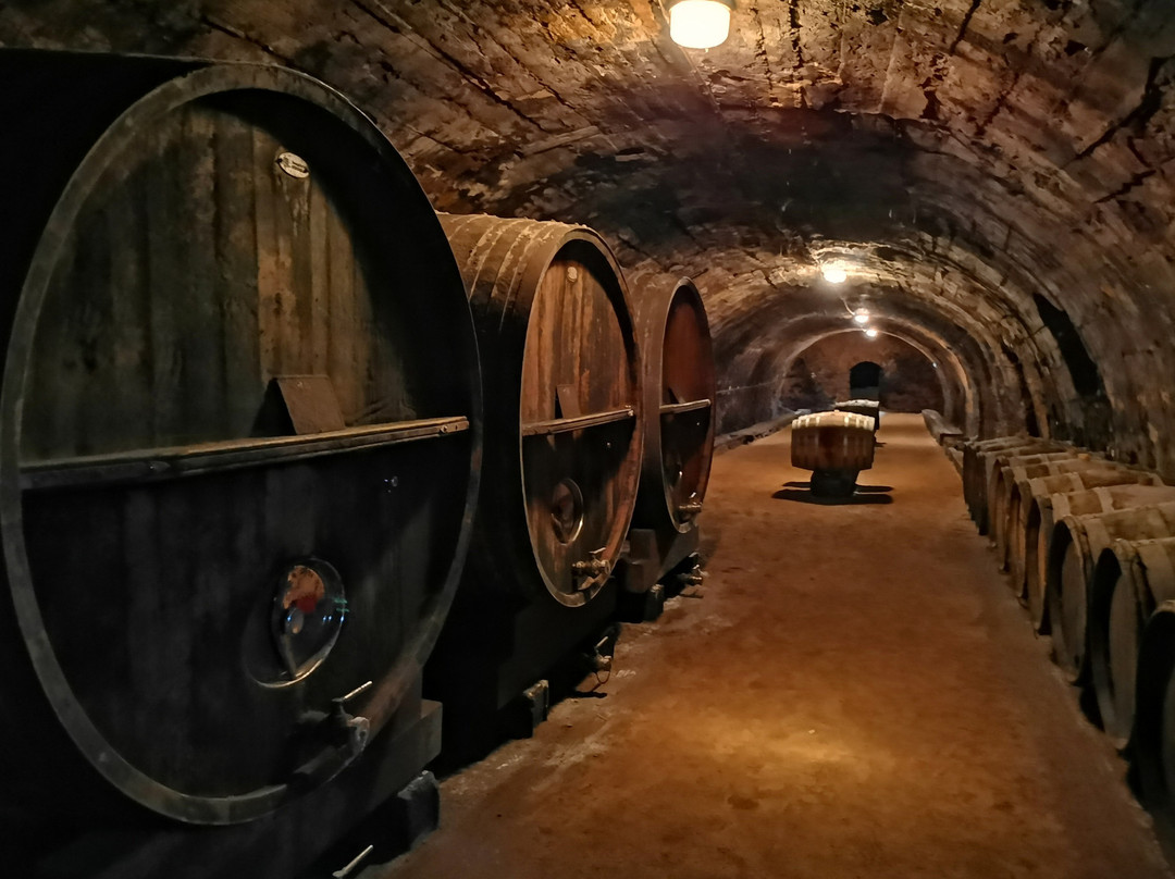 Château De Julienas-Julienas必去景点