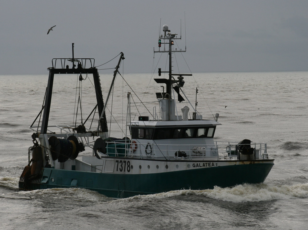 Greymouth Breakwater景点图片