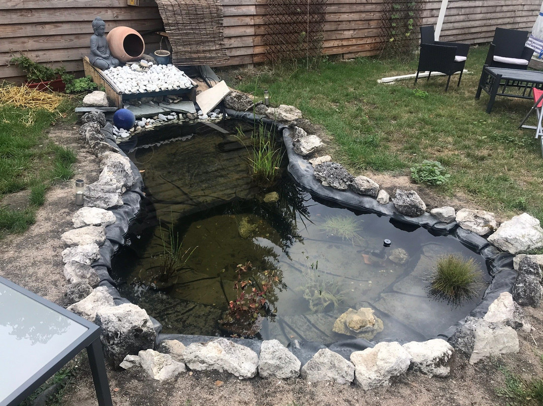 La Salamandre