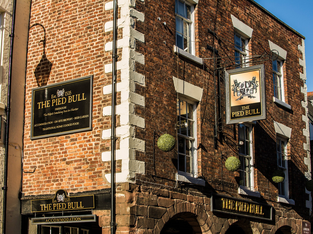 The Pied Bull