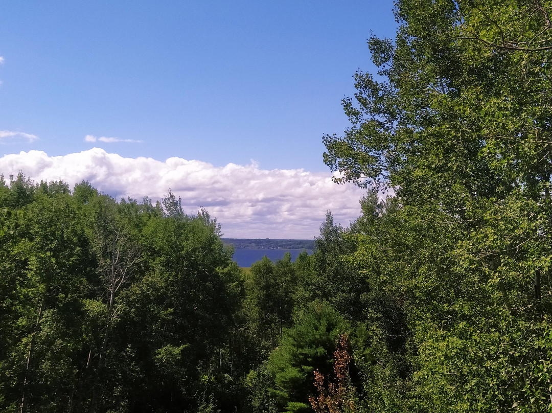 Daly Point Nature Reserve-Bathurst必去景点