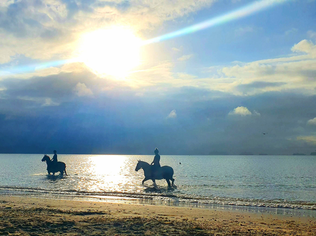 Greenwood Guest House主图