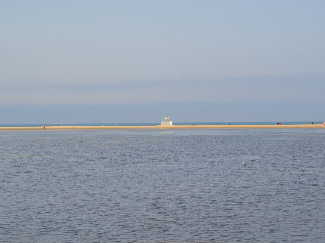 La Franqui Beach景点图片