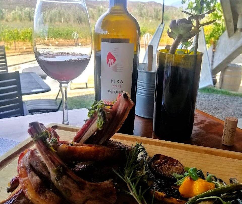 Alximia Vinicola景点图片