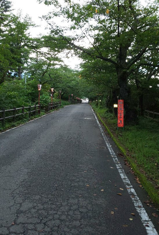 Sakurazaka景点图片