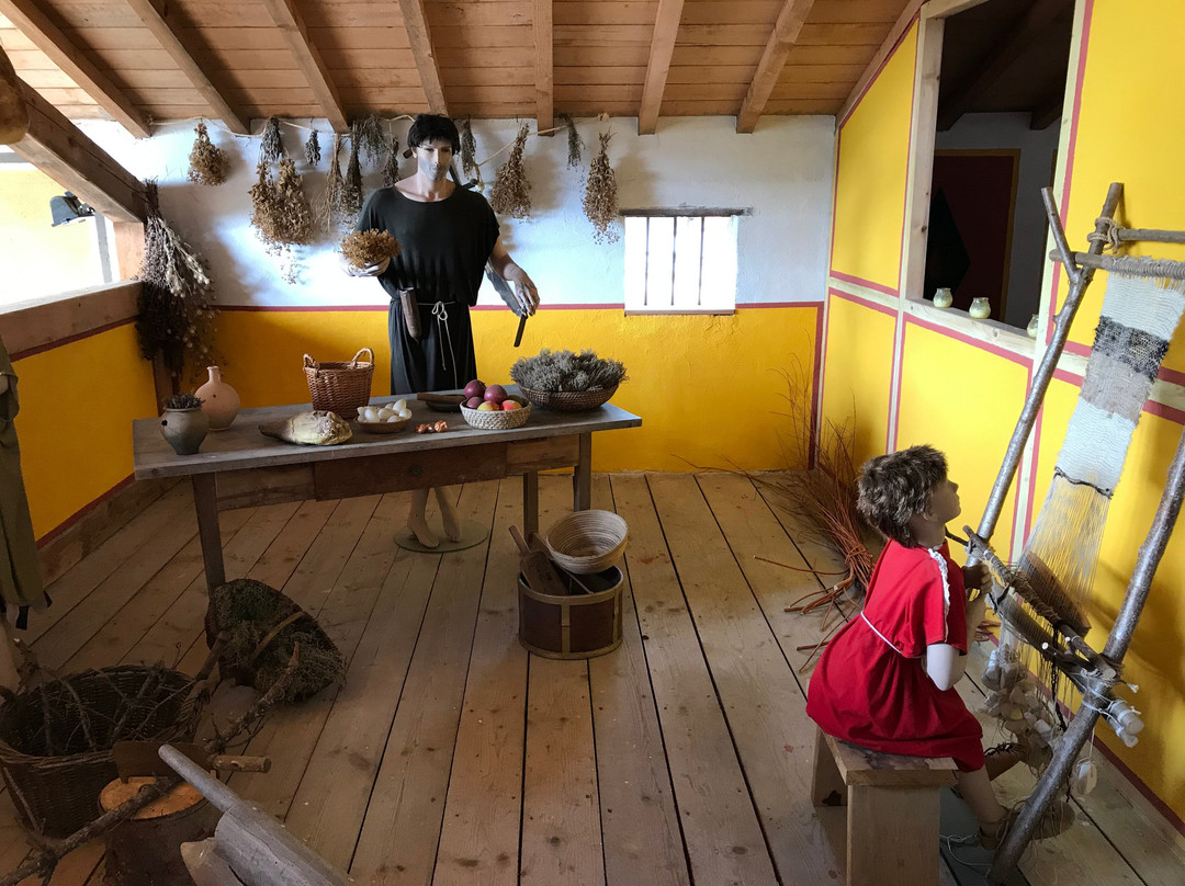 Roman Open Air Museum景点图片