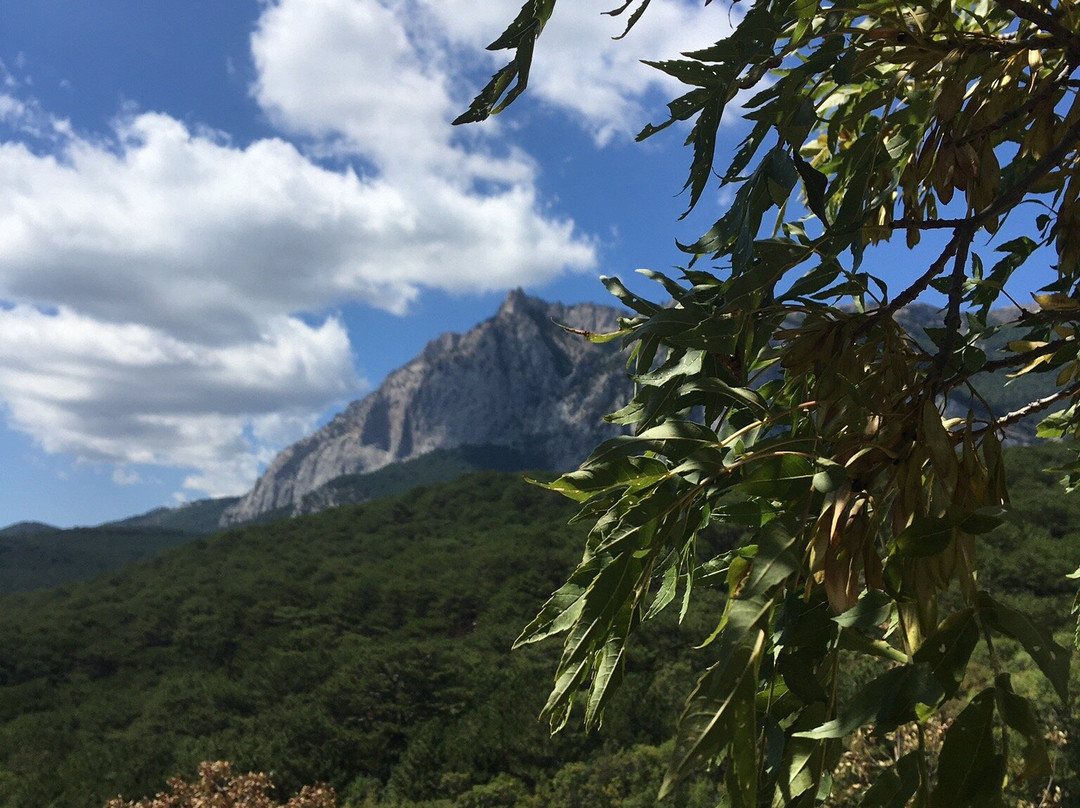 Biryuzovoye Lake景点图片