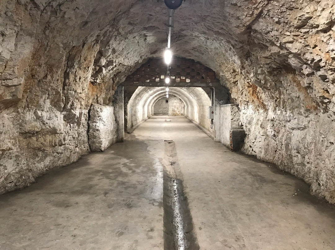 Rijeka Tunnel景点图片