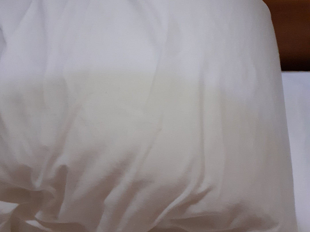 Cases dels Gasulla主图