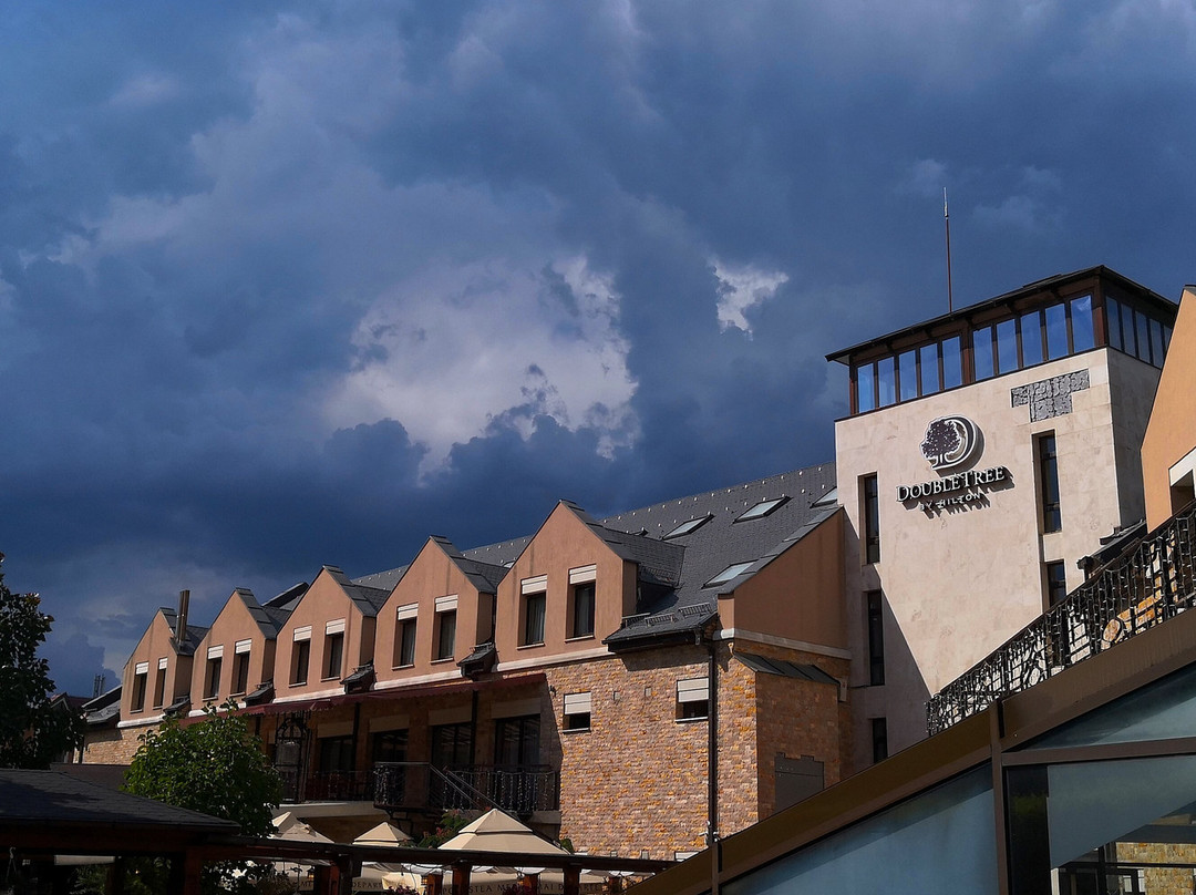 DoubleTree by Hilton Sighisoara - Cavaler主图