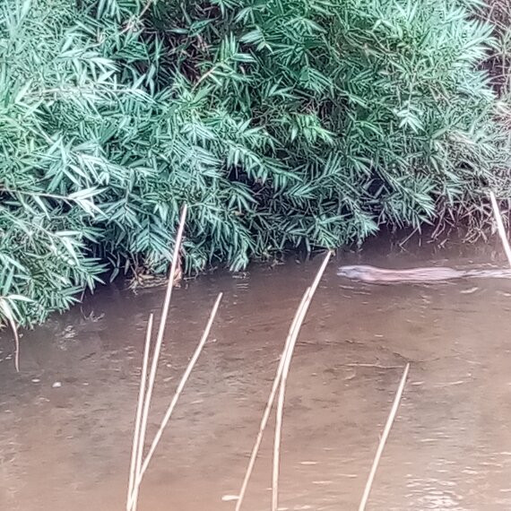 Isla de Quinchao-奇洛埃岛必去景点