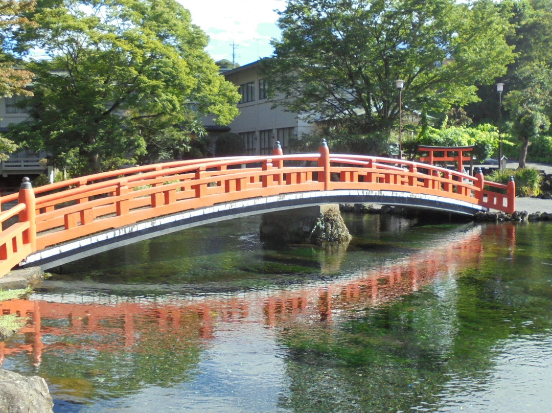 Waketamaike Spring景点图片
