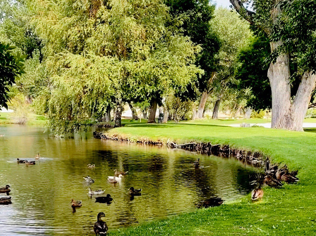 Bishop Dog Park-毕晓普必去景点