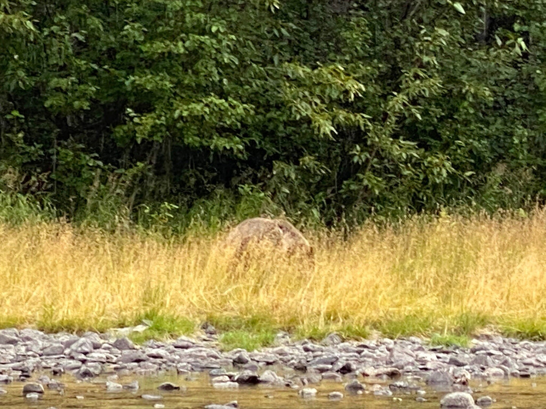 Alaska River Adventures - Day Tours-Cooper Landing必去景点