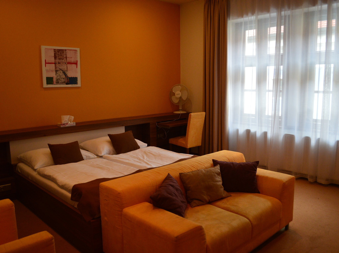 Cerny Orel Hotel & Penzion主图