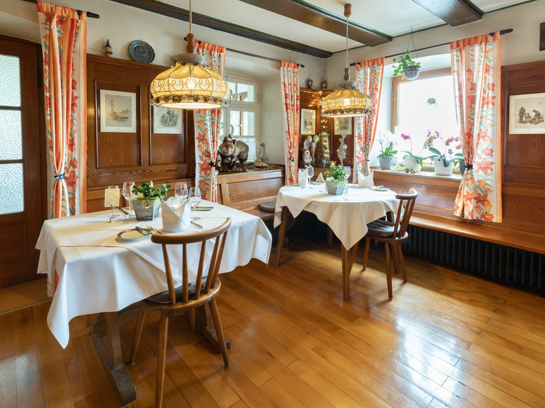 Hotel Landgasthof zum Pflug主图