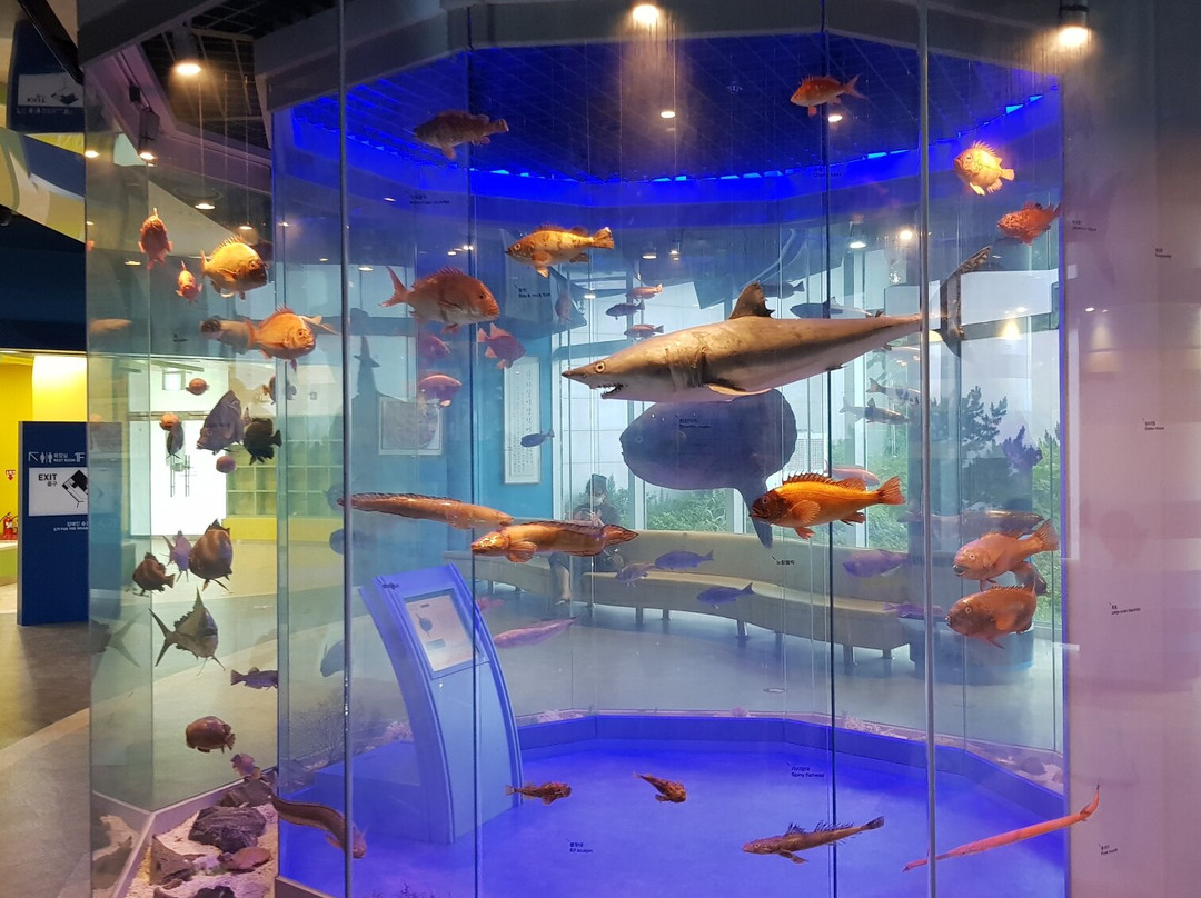 Samsa Marine Park-盈德郡必去景点