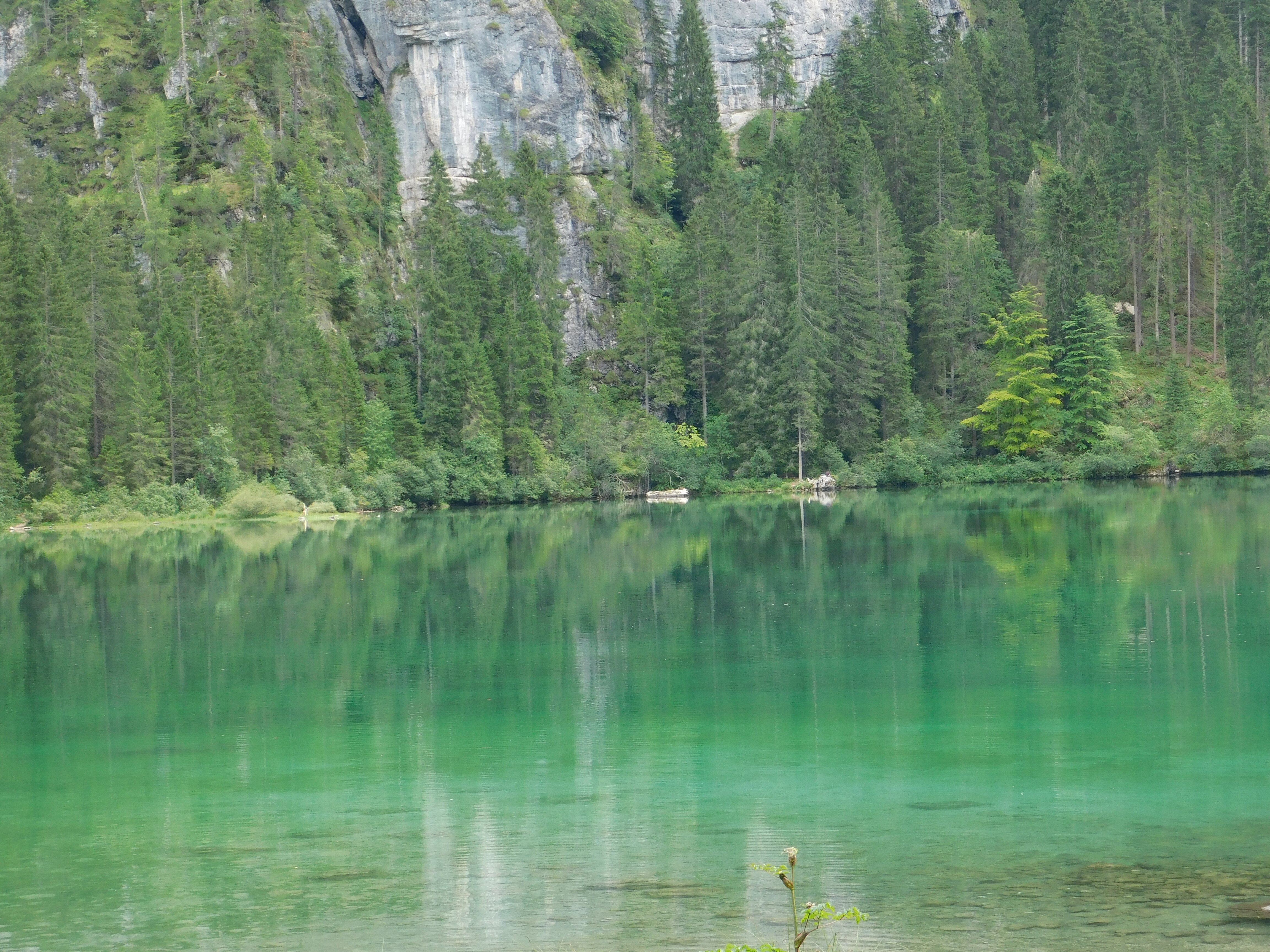 Albergo Ristorante Rifugio Lago Rosso-浴室