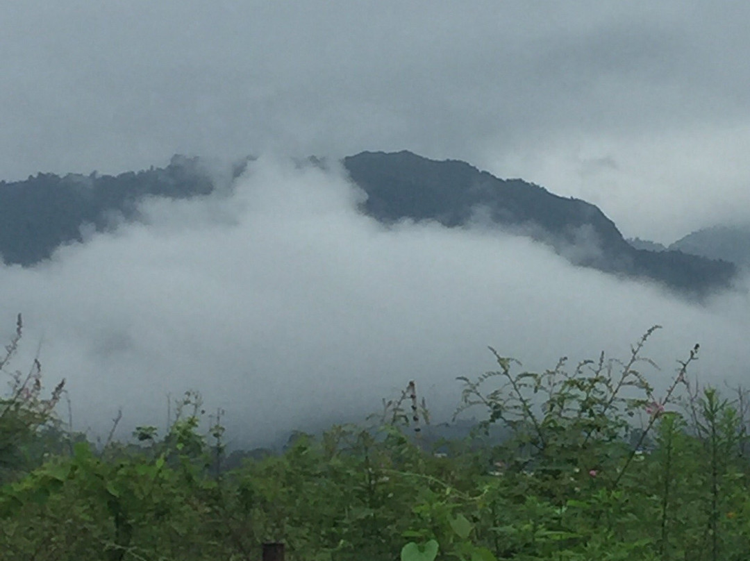 Colonel's Quarters主图