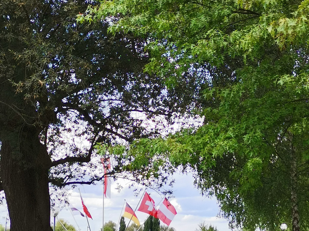 Seeburg Park-Kreuzlingen必去景点