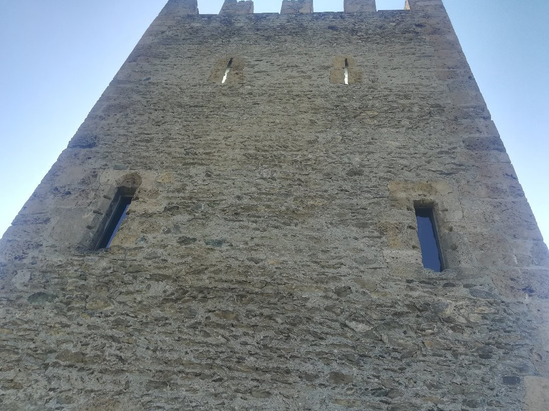 Torre Delfinale景点图片