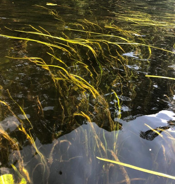 SUP Center-莫斯科必去景点