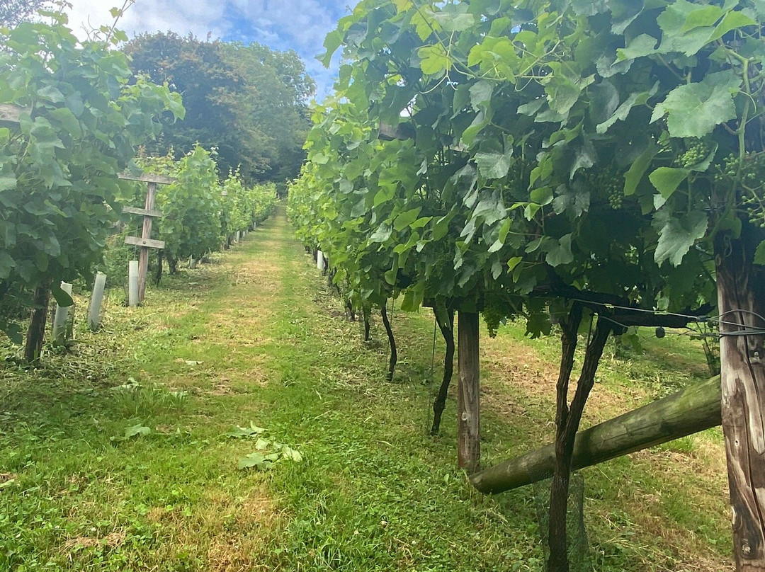 Fenny Castle Vineyard景点图片