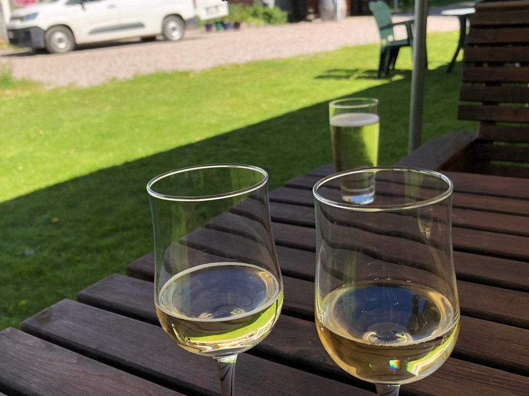 Alahovi Berry Wine Farm-库奥皮奥必去景点