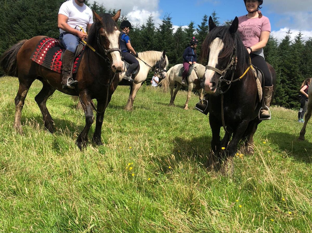 Devil's Bit Pony Trekking-Templemore必去景点