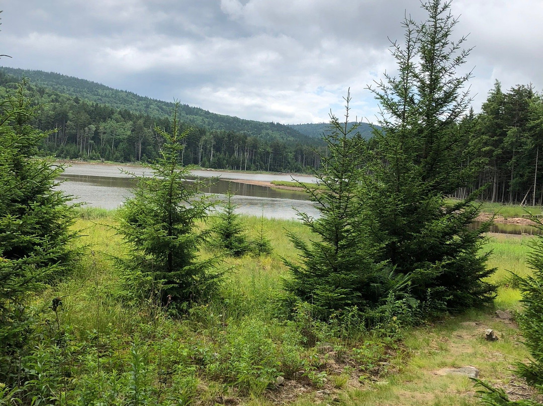 Shavers Lake & Lift Rides-雪鞋山必去景点