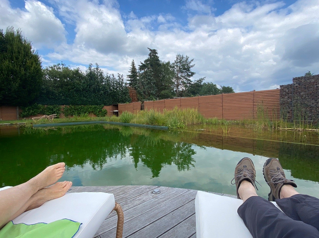 Sonn'Idyll Hotel & Saunalandschaft主图