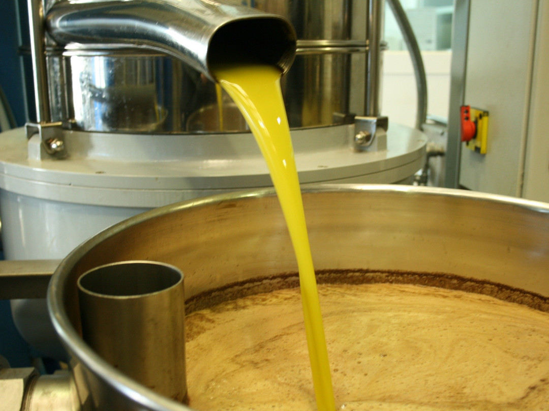 Integra-T Experience-巴伦西亚必去景点