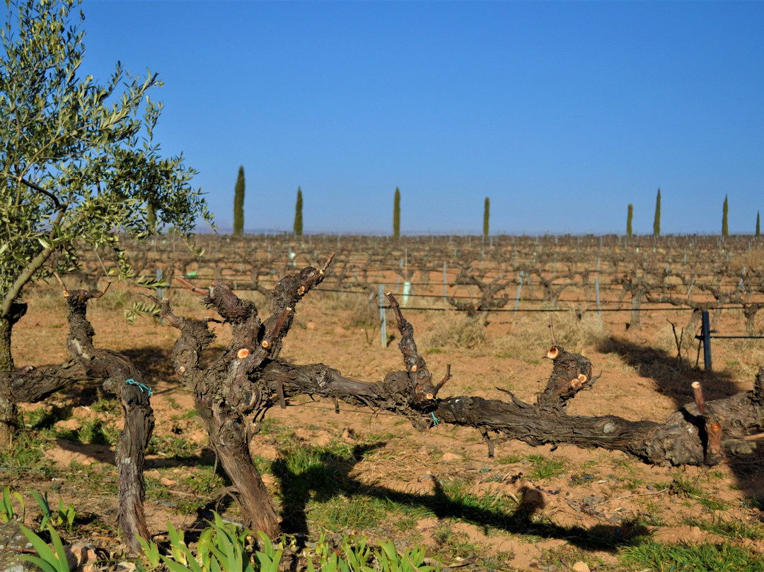 Integra-T Experience-巴伦西亚必去景点