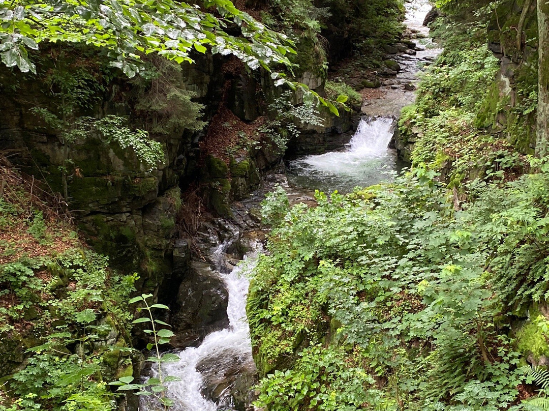 Wilczki Waterfall景点图片