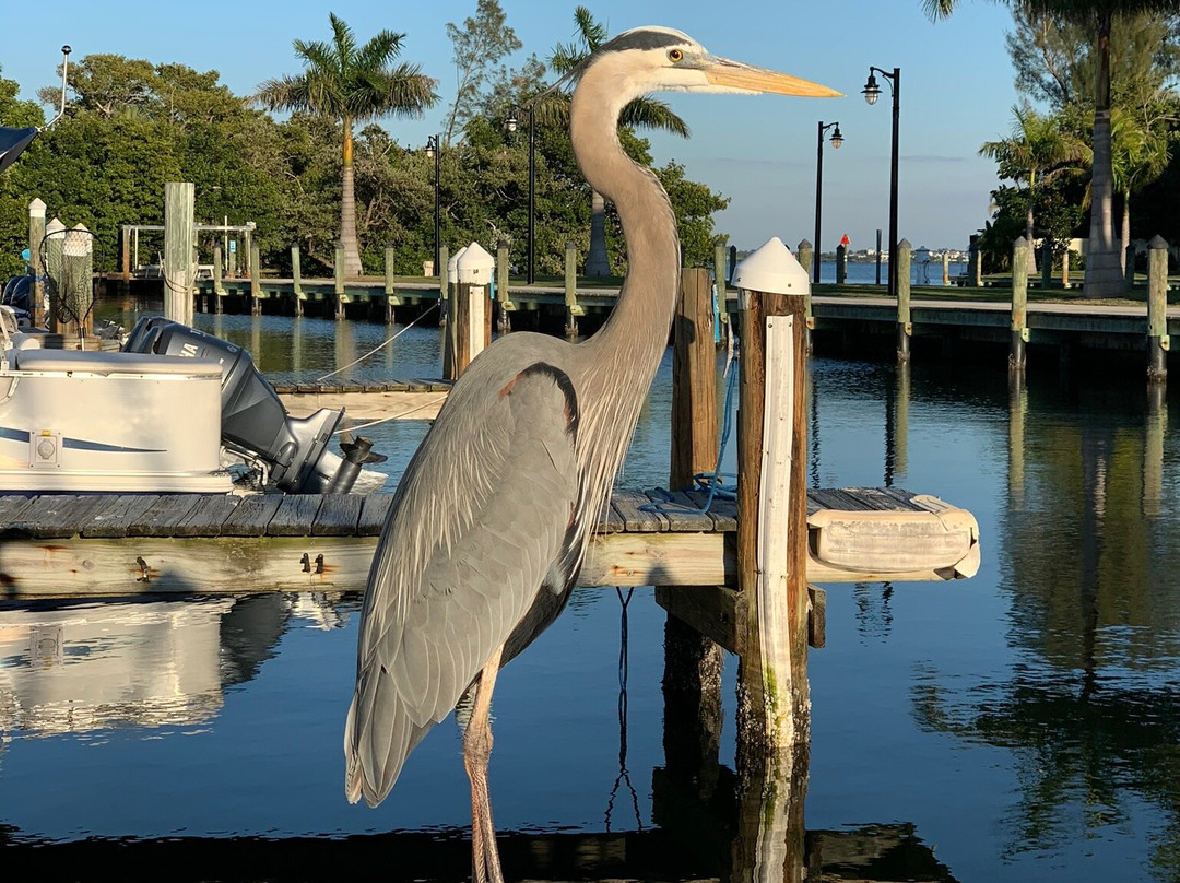 Island Discount Tackle-Holmes Beach必去景点