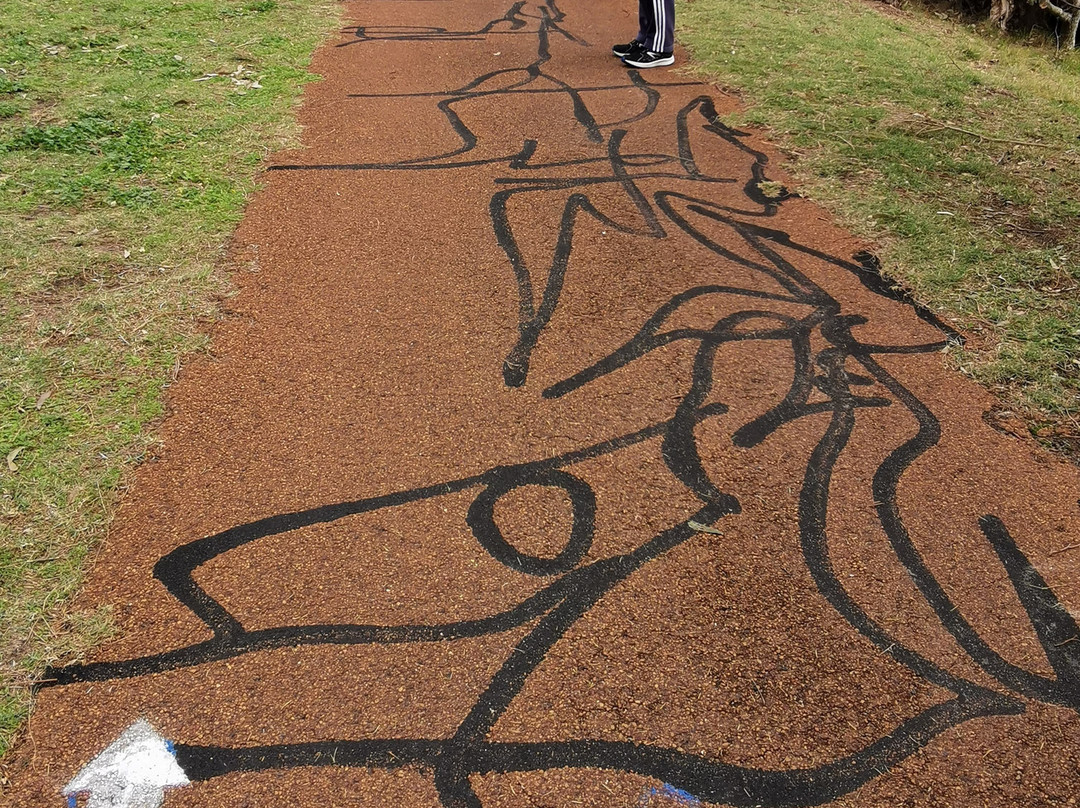 Big Swamp Walk-班伯利必去景点