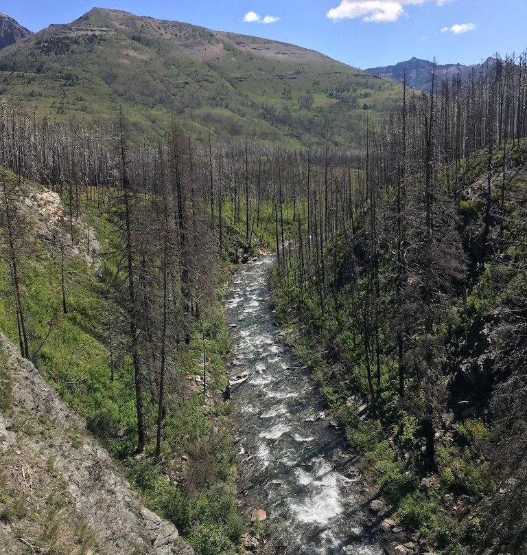 布莱基斯顿瀑布-沃特顿湖国家公园必去景点