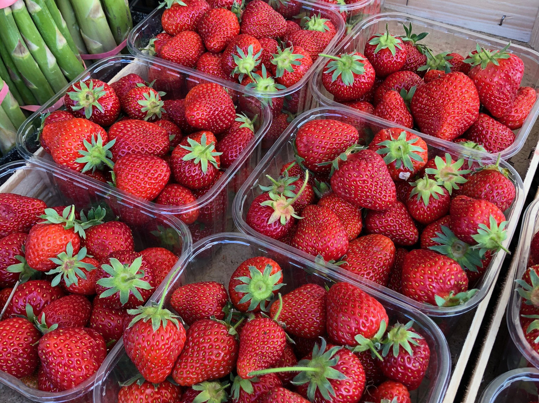 Walsingham Farms Shop景点图片